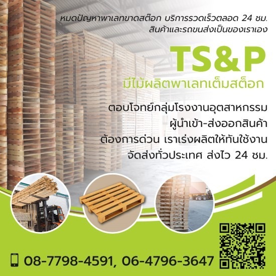 โรงงานผลิตพาเลทไม้ - ทีเอสแอนด์พี ทรานสปอร์ท - โรงงานผลิตพาเลทไม้