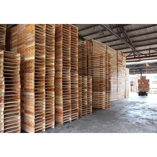 โรงงานผลิตพาเลทไม้ - ทีเอสแอนด์พี ทรานสปอร์ท - โรงงานพาเลทไม้ เชียงรากน้อย